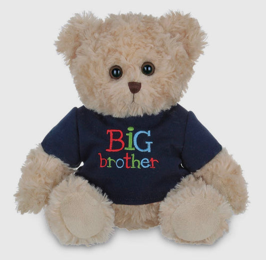 Big brother teddy bear